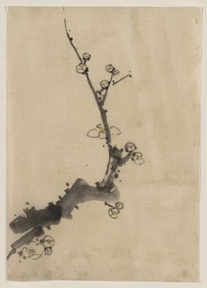 Katsushika Hokusai: [Fruit tree branch with blossoms] - Library of Congress