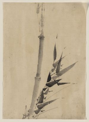 Katsushika Hokusai: [Bamboo] - Library of Congress