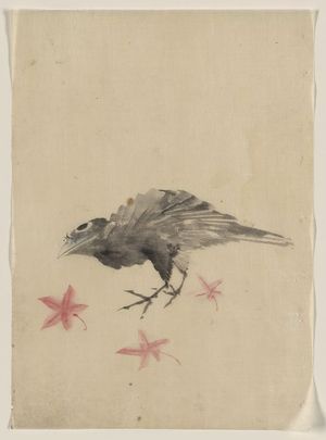 Katsushika Hokusai: [A bird, possibly crow or raven, facing left, standing among leaves with head cocked as though looking closely or listening] - Library of Congress