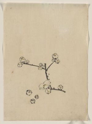 Katsushika Hokusai: [A tree branch with blossoms] - Library of Congress