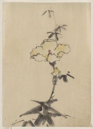 葛飾北斎: [Yellow blossom with bud on a stalk above leaves] - アメリカ議会図書館