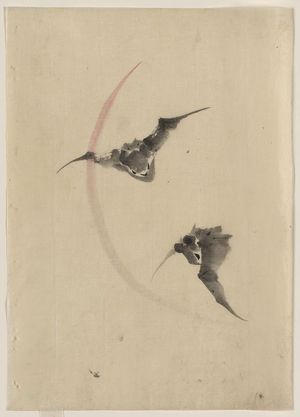 葛飾北斎: [Two bats flying] - アメリカ議会図書館