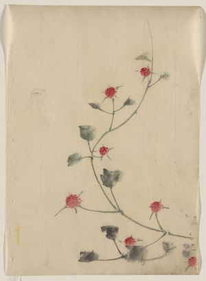 Katsushika Hokusai: [Small red blossoms on a vine] - Library of Congress