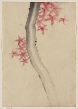 Katsushika Hokusai: [Unidentified, possibly a tree branch with red star-shaped leaves or blossoms] - Library of Congress