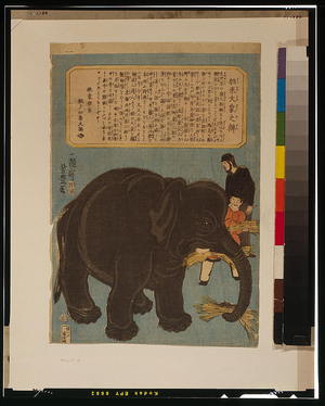 Utagawa Yoshitoyo: Big imported elephant. - Library of Congress