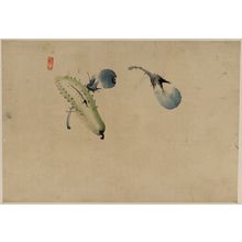 Katsushika Hokusai: [Cucumber or squash and eggplant] - Library of Congress