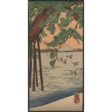 歌川国芳: Pine tree on the shore. - アメリカ議会図書館