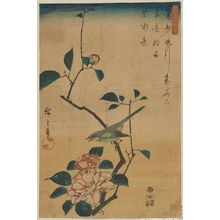 Utagawa Hiroshige: Camellia and Bush Warbler. - Library of Congress