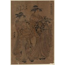鳥居清長: The courtesan Hitomachi of Tsutaya at Edomachi Nichōme. - アメリカ議会図書館