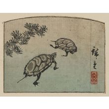 Utagawa Hiroshige: Turtles. - Library of Congress