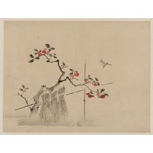 Unknown: [Blue bird about to land on a branch of a fruit tree] - Library of Congress