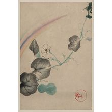 Unknown: [Squash vine with blossom, squash, and rainbow, with publisher seal in lower right] - Library of Congress