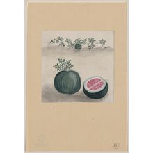 Unknown: [Watermelon with plant growing in the background] - Library of Congress