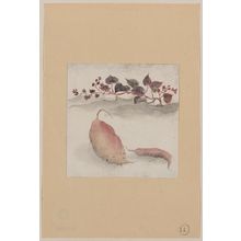 Unknown: [Sweet potato or yam with plant growing in the background] - Library of Congress