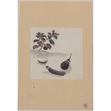 Unknown: [Eggplants with plant growing in the background] - Library of Congress