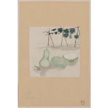 Unknown: [Pale green squash with white flesh and many seeds, with plant vines growing in the background] - Library of Congress