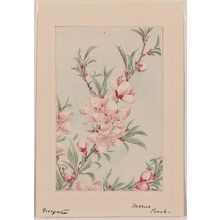 Unknown: [Peach tree branches with leaves and blossoms] / Megata. - Library of Congress