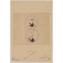 Unknown: [Circular designs, maple leaves in a bubble and a person blowing bubbles] - Library of Congress