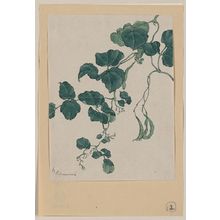 Unknown: [Mame - green bean or pea plant showing vine, leaves, pods, and blossoms] / Kanemori. - Library of Congress