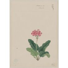 Unknown: Sakura so[u] - March - Library of Congress