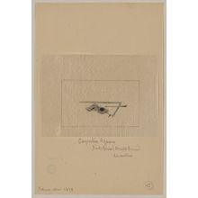 Unknown: Carpenter's square, ink-line (chalk line), marker - Library of Congress