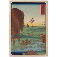 Utagawa Hiroshige: Kogane fields in Shimosa Province. - Library of Congress