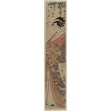 細田栄之: The courtesan Hanaōgi of the house of Ōgi. - アメリカ議会図書館
