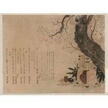 Niwa Tōkei: Utensils for picnic tea ceremony. - アメリカ議会図書館