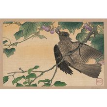 Unknown: Birds-and-flowers print. - Library of Congress