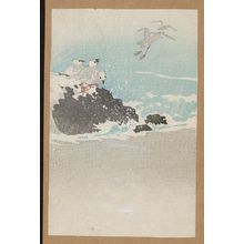 Unknown: Plovers over waves. - Library of Congress