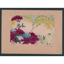Unknown: Early summer flower blossoms. - Library of Congress