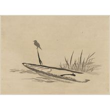 無款: Bird and boat among reeds. - アメリカ議会図書館
