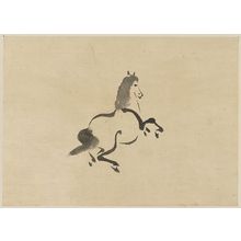 Unknown: Horse. - Library of Congress