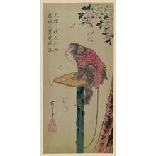 歌川広重: Monkey on a leash and cherry blossoms. - アメリカ議会図書館