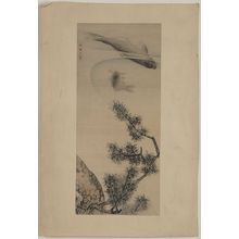Maruyama Ōkyo: Koi under a pine branch. - Library of Congress