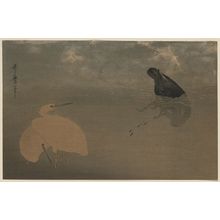 Kitagawa Utamaro: Cormorant and white heron. - Library of Congress