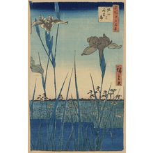 Utagawa Hiroshige: Horikiri iris garden. - Library of Congress