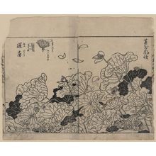 Tachibana Yasukuni: [Lotus in the wind, with detail of lotus pod] - アメリカ議会図書館