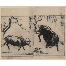 Tachibana Morikuni: [Two oxen, one under a willow tree and one under a plum tree] - Library of Congress