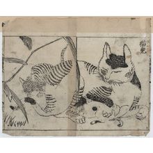 Tachibana Morikuni: [Domestic cat nursing kittens] - アメリカ議会図書館