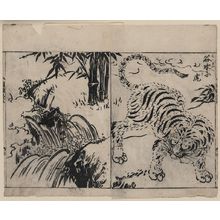 Tachibana Morikuni: [Tiger near a cataract] - アメリカ議会図書館