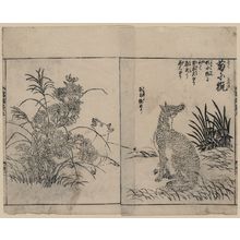 Tachibana Morikuni: [Foxes and chrysanthemums] - アメリカ議会図書館