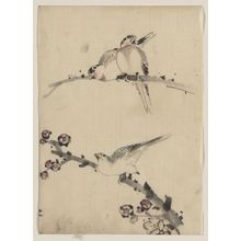 Katsushika Hokusai: [Three birds perched on branches, one with blossoms] - Library of Congress