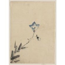 葛飾北斎: [Blue blossom at the end of a stem] - アメリカ議会図書館