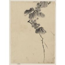 葛飾北斎: [Branch with leaves and berries] - アメリカ議会図書館