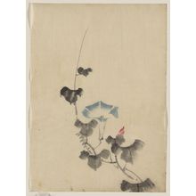 Katsushika Hokusai: [Blue blossom of morning glory on vine] - Library of Congress