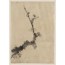 Katsushika Hokusai: [Fruit tree branch with blossoms] - Library of Congress