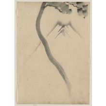 Katsushika Hokusai: [A tree trunk with branch and leaves in the foreground, with view of Mount Fuji in the background] - Library of Congress