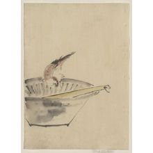 Katsushika Hokusai: [A bird perched on the edge of a bowl, with head cocked, looking at a utensil in the bowl] - Library of Congress