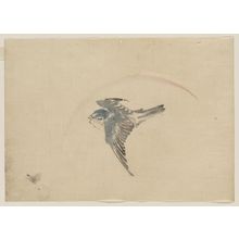 Katsushika Hokusai: [A bird flying to the left, seen from above] - Library of Congress